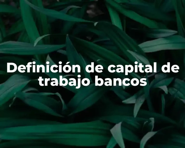 Definición de capital de trabajo bancos