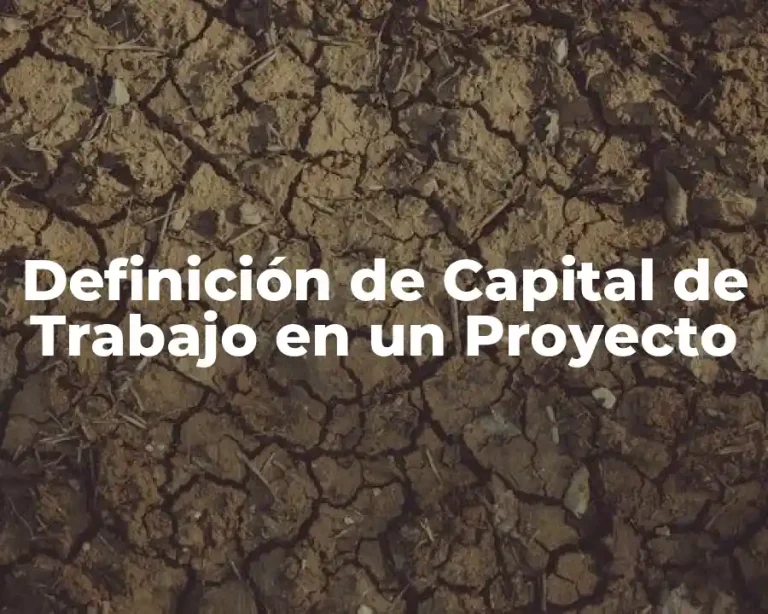 Definición de Capital de Trabajo en un Proyecto
