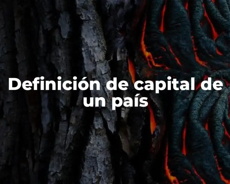 Definición de capital de un país
