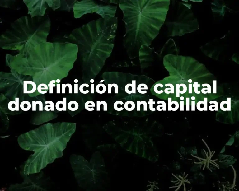 Definición de capital donado en contabilidad