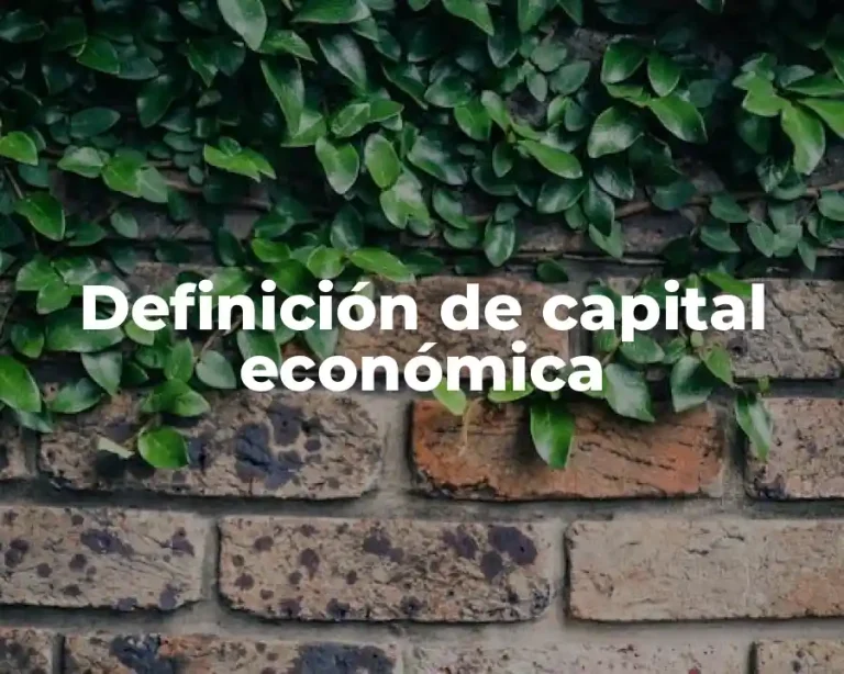 Definición de capital económica