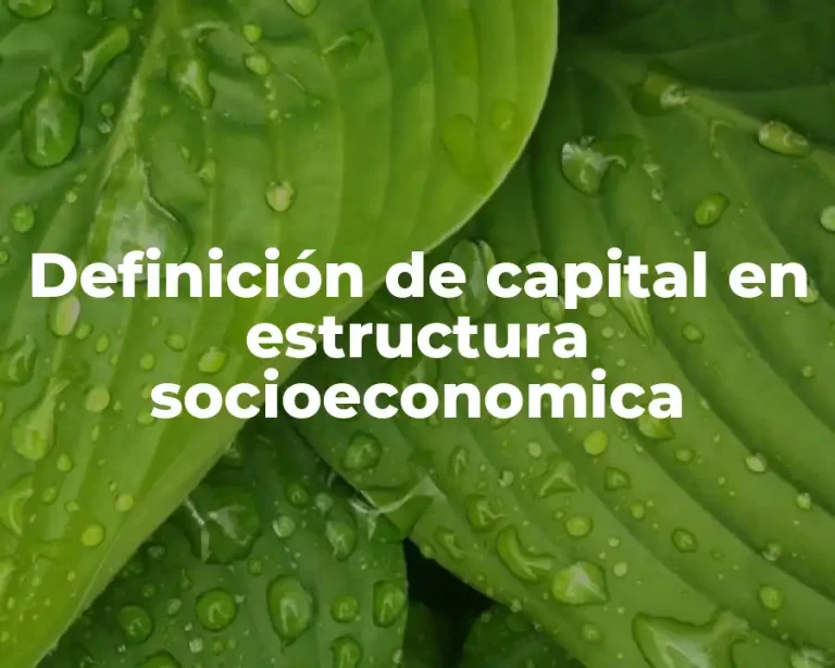 Definición de capital en estructura socioeconomica