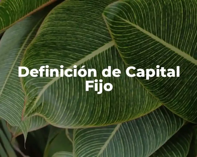Definición de Capital Fijo