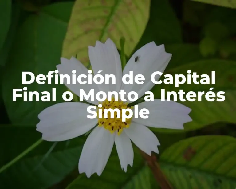 Definición de Capital Final o Monto a Interés Simple