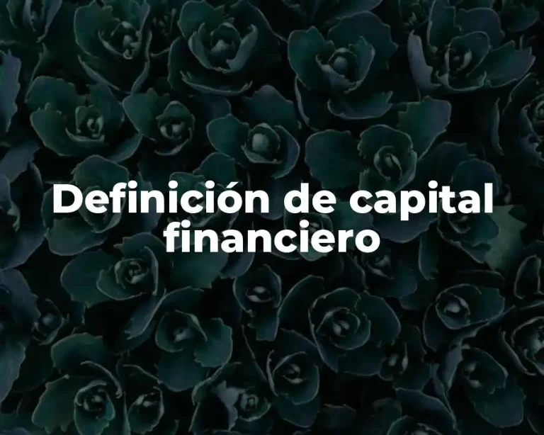 Definición de capital financiero