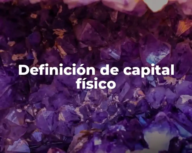 Definición de capital físico