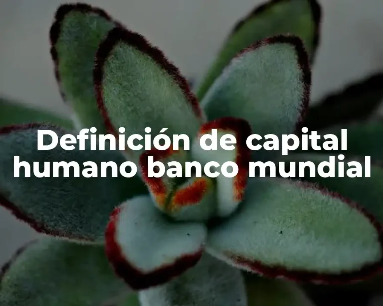 Definición de capital humano banco mundial