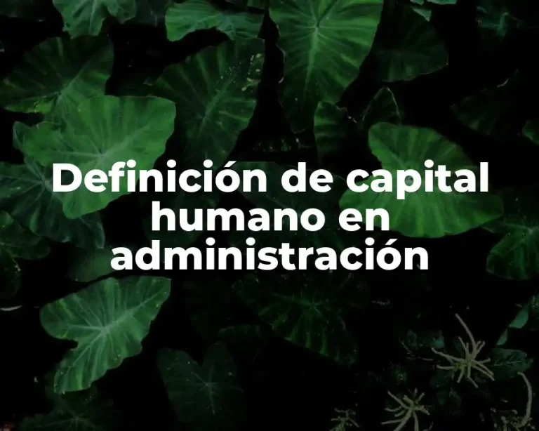 Definición de capital humano en administración
