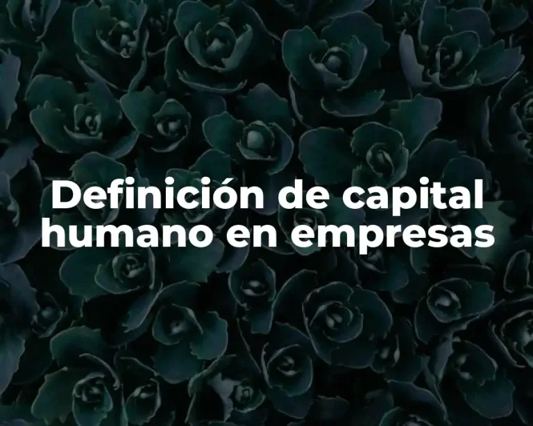 Definición de capital humano en empresas