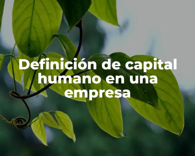 Definición de capital humano en una empresa