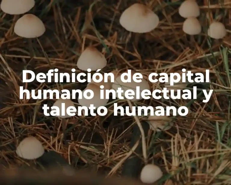 Definición de capital humano intelectual y talento humano