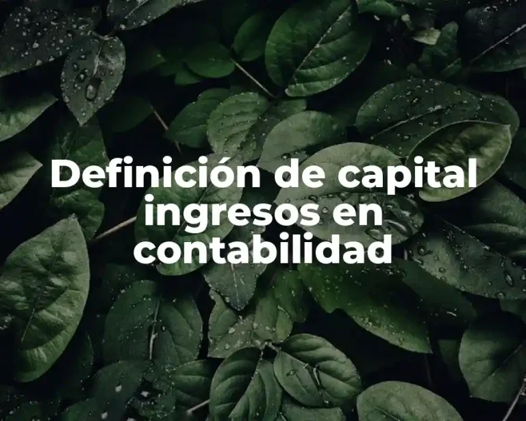 Definición de capital ingresos en contabilidad