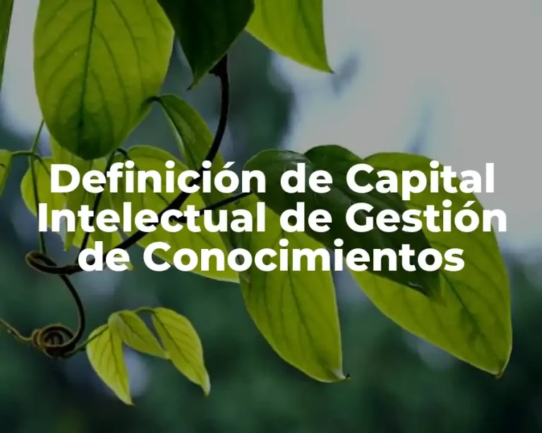 Definición de Capital Intelectual de Gestión de Conocimientos