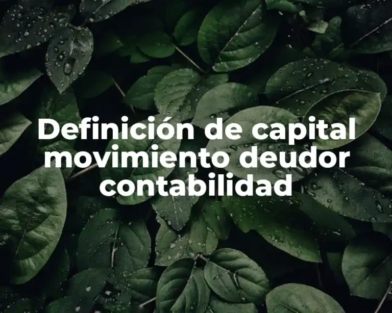 Definición de capital movimiento deudor contabilidad