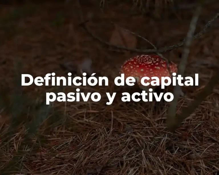 Definición de capital pasivo y activo
