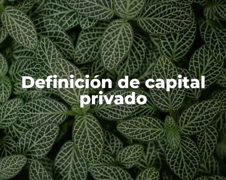 Definición de capital privado