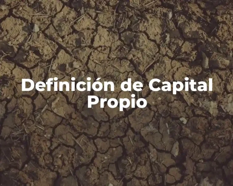 Definición de Capital Propio
