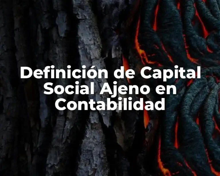 Definición de Capital Social Ajeno en Contabilidad