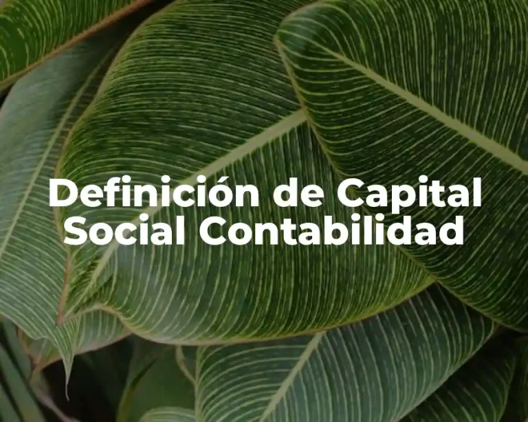 Definición de Capital Social Contabilidad