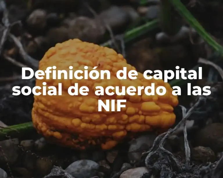 Definición de capital social de acuerdo a las NIF