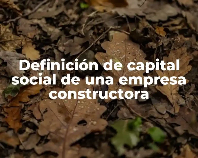 Definición de capital social de una empresa constructora
