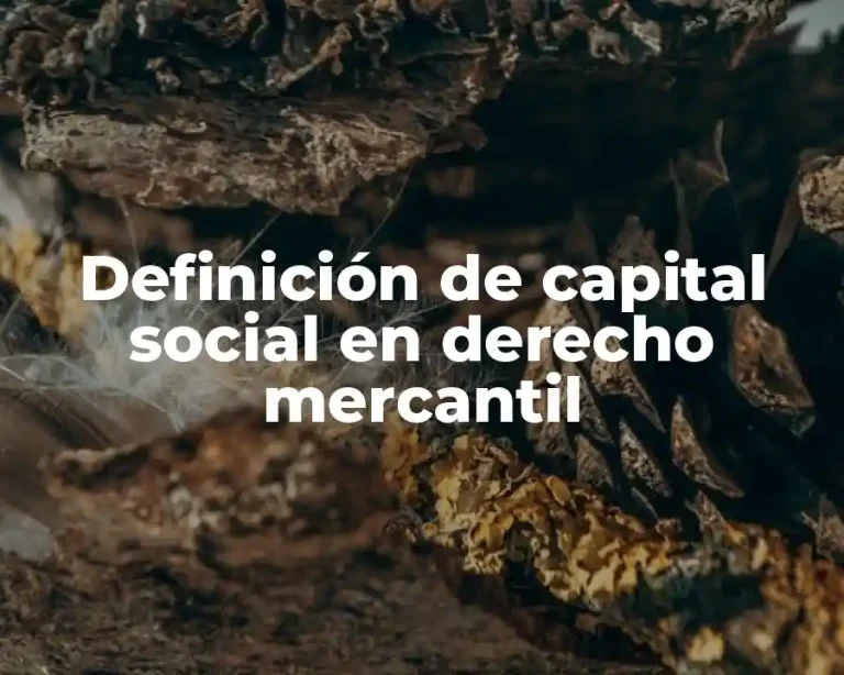 Definición de capital social en derecho mercantil