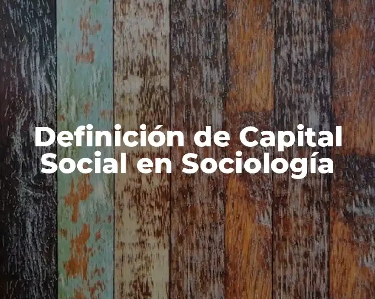 Definición de Capital Social en Sociología
