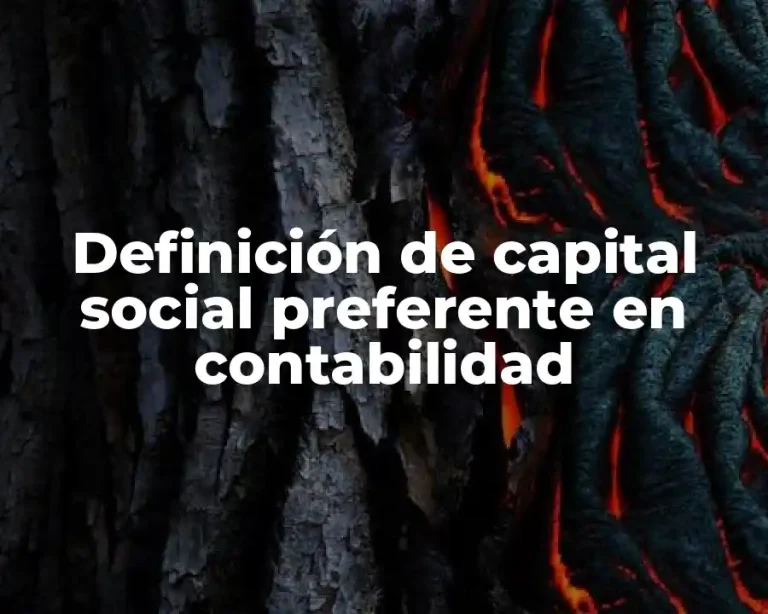 Definición de capital social preferente en contabilidad