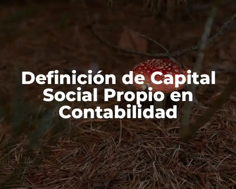 Definición de Capital Social Propio en Contabilidad