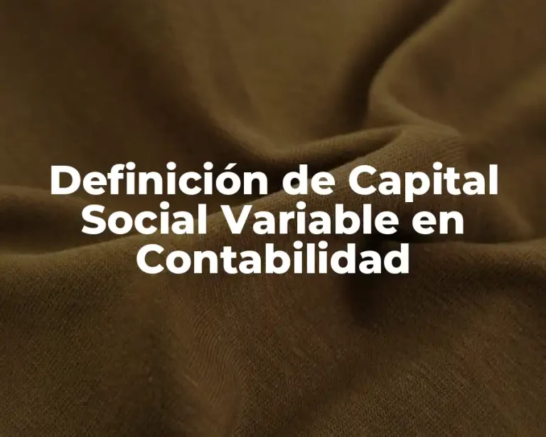 Definición de Capital Social Variable en Contabilidad