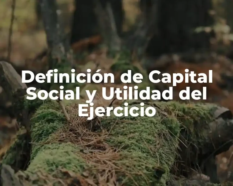 Definición de Capital Social y Utilidad del Ejercicio