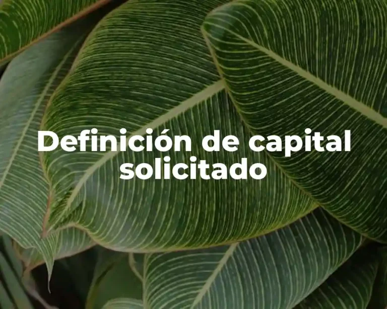 Definición de capital solicitado