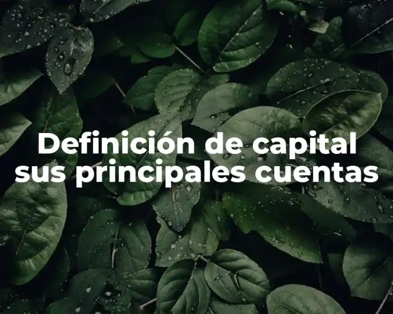 Definición de capital sus principales cuentas