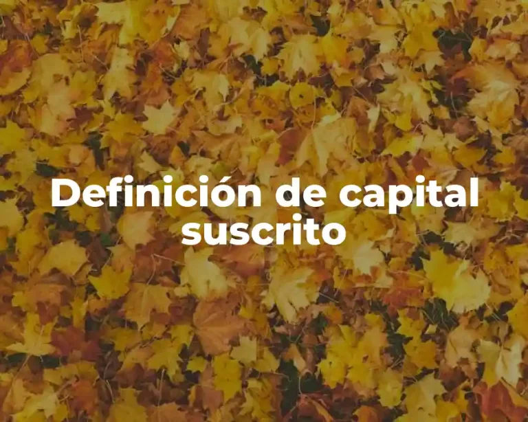 Definición de capital suscrito