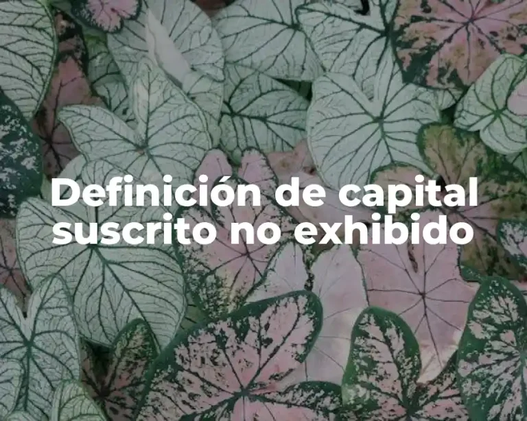 Definición de capital suscrito no exhibido
