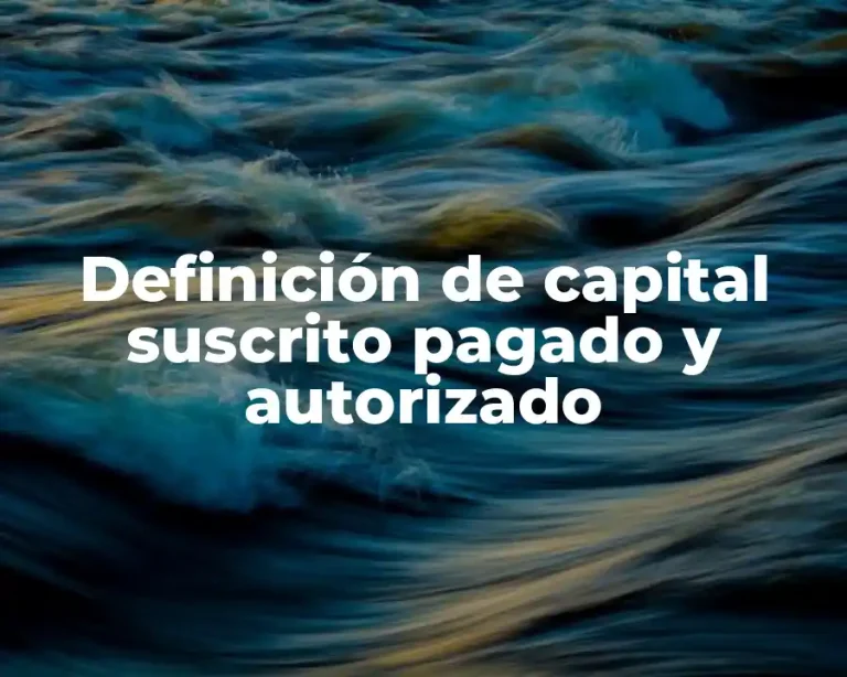 Definición de capital suscrito pagado y autorizado