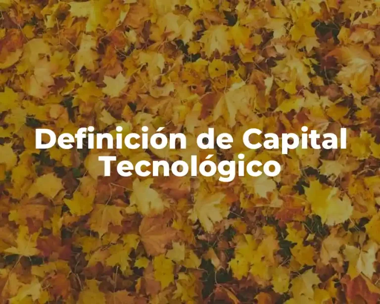Definición de Capital Tecnológico