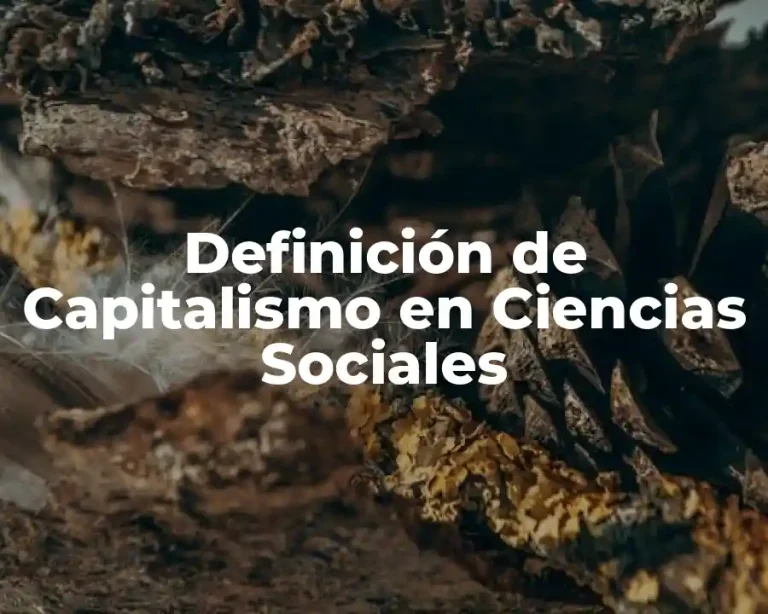 Definición de Capitalismo en Ciencias Sociales