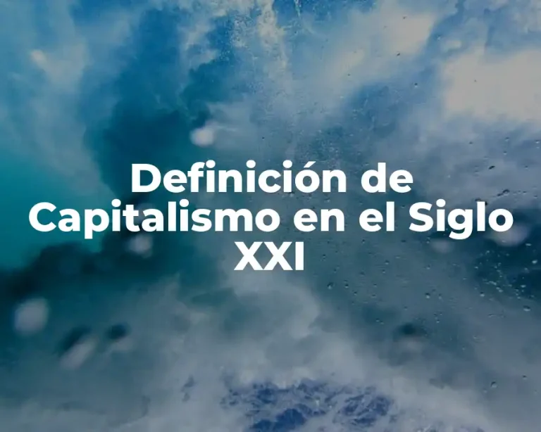 Definición de Capitalismo en el Siglo XXI