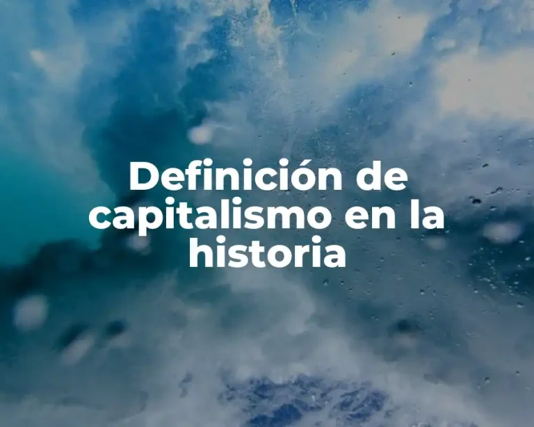 Definición de capitalismo en la historia