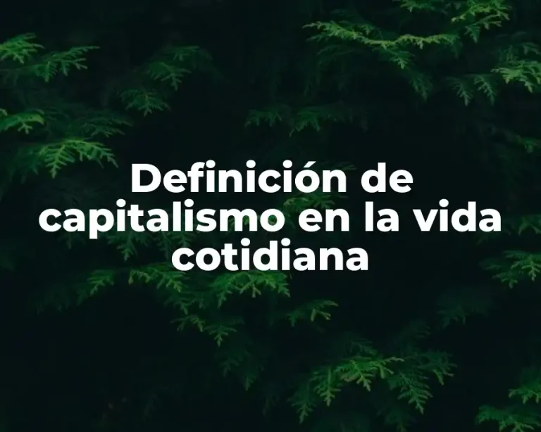 Definición de capitalismo en la vida cotidiana