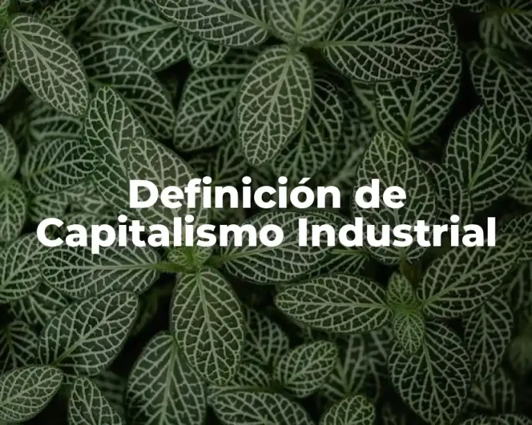 Definición de Capitalismo Industrial