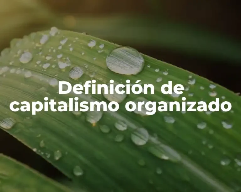 Definición de capitalismo organizado
