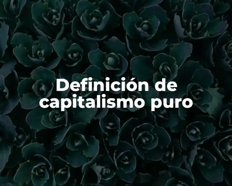 Definición de capitalismo puro