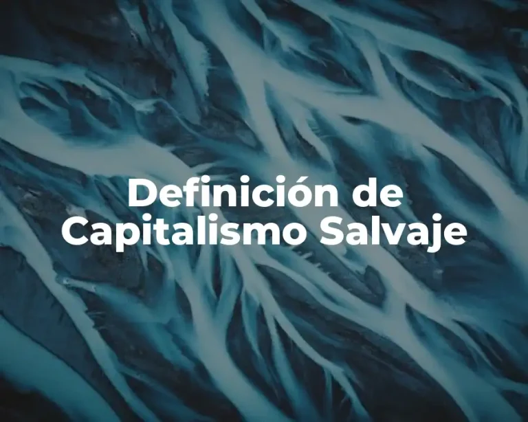 Definición de Capitalismo Salvaje