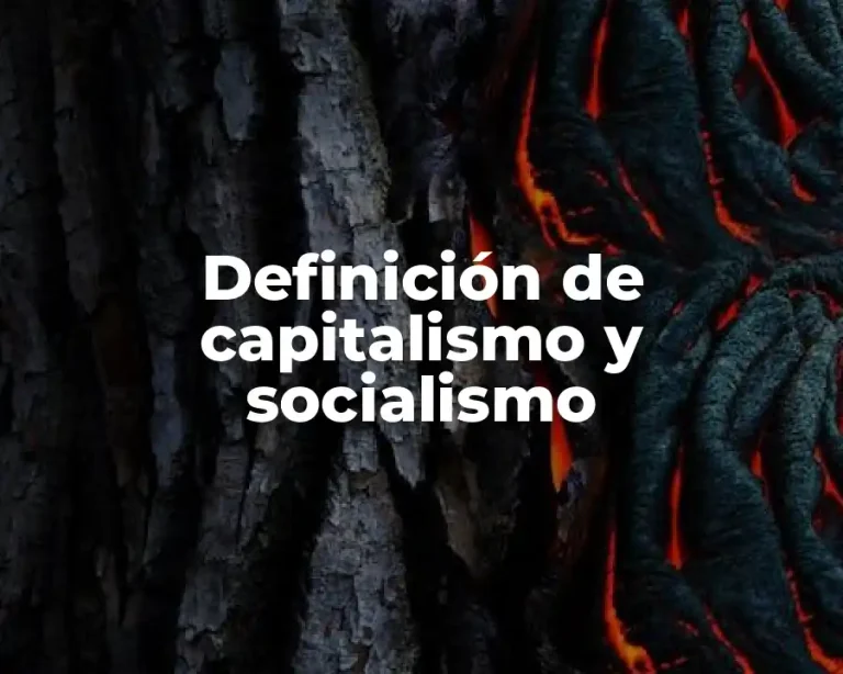 Definición de capitalismo y socialismo