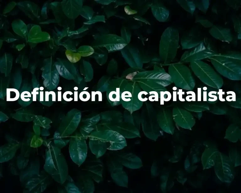 Definición de capitalista