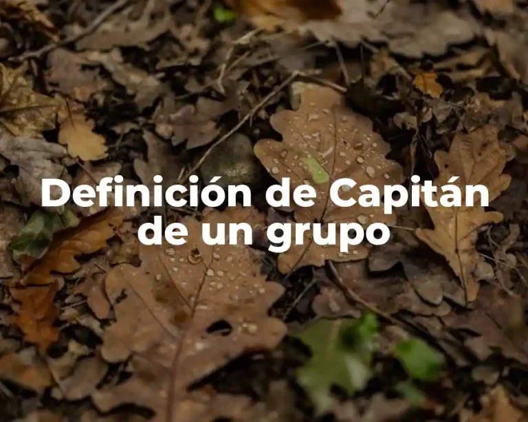 Definición de Capitán de un grupo