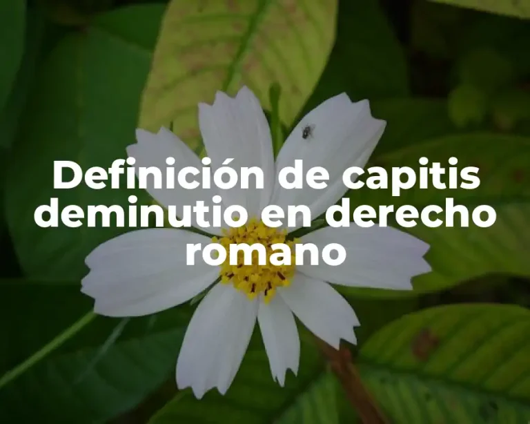 Definición de capitis deminutio en derecho romano