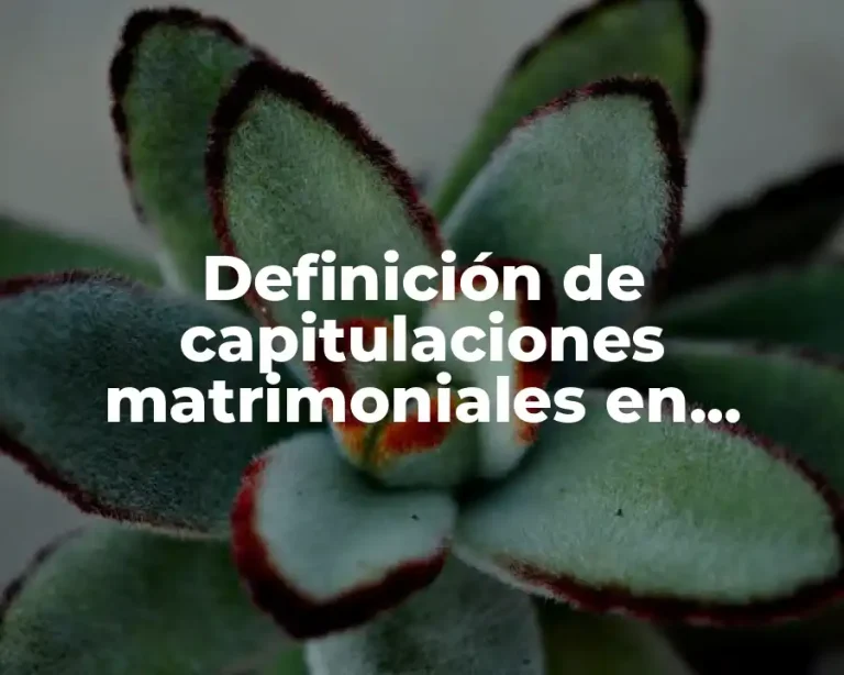 Definición de capitulaciones matrimoniales en México